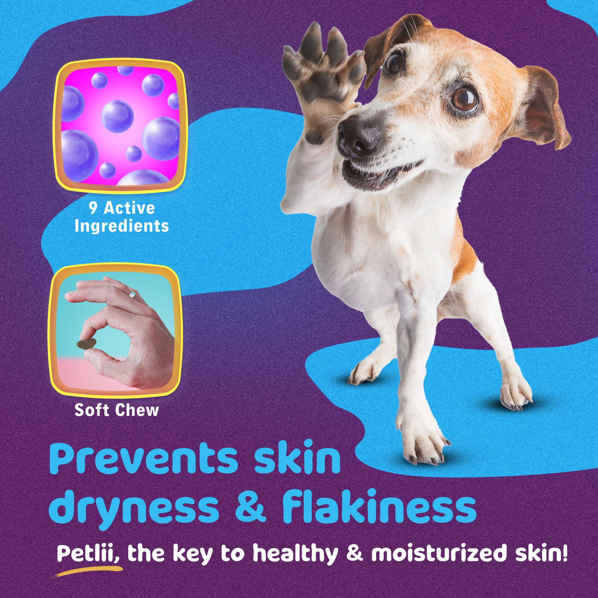 Petlii Healthy Coat Omega Chews