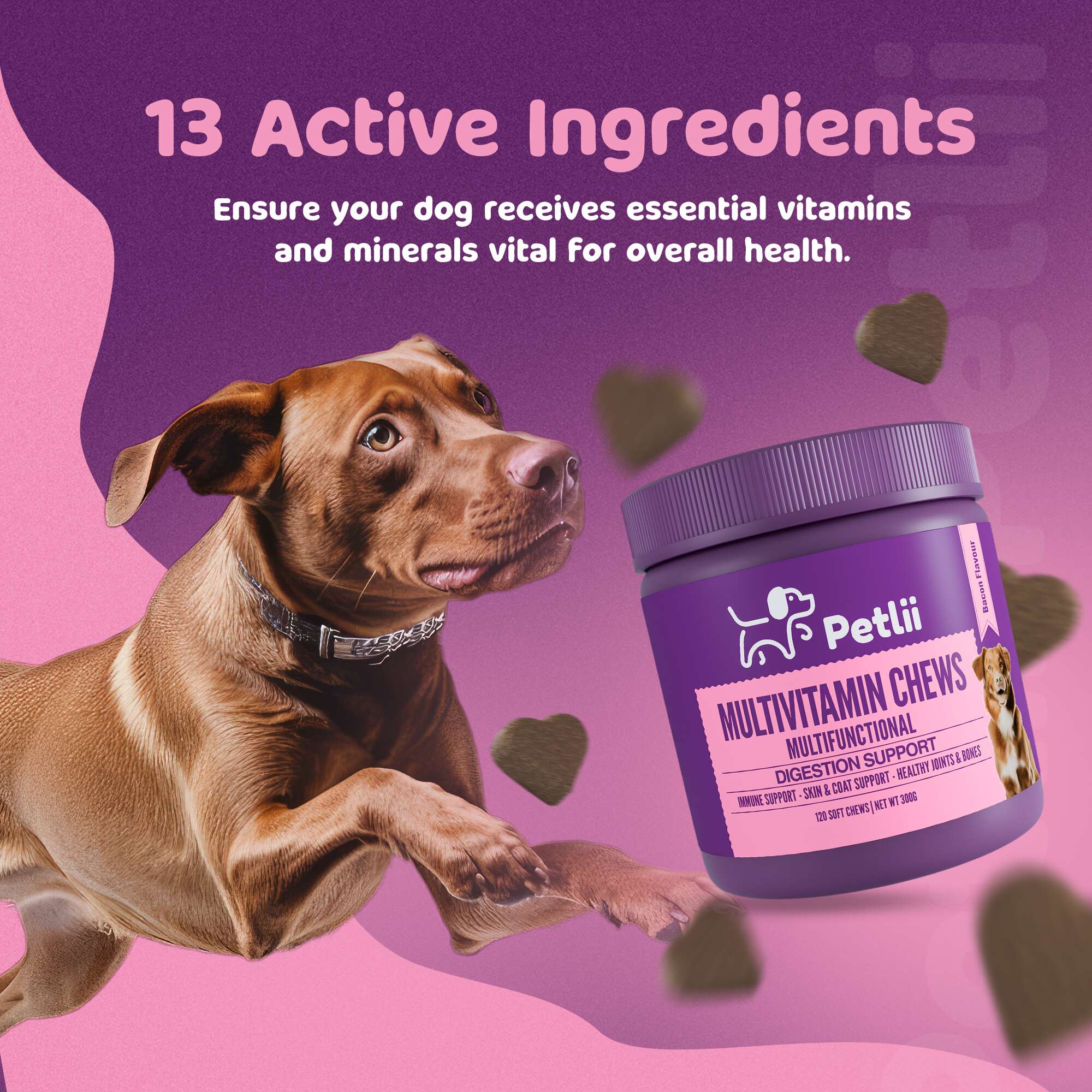 Petlii Multivitamin Chews