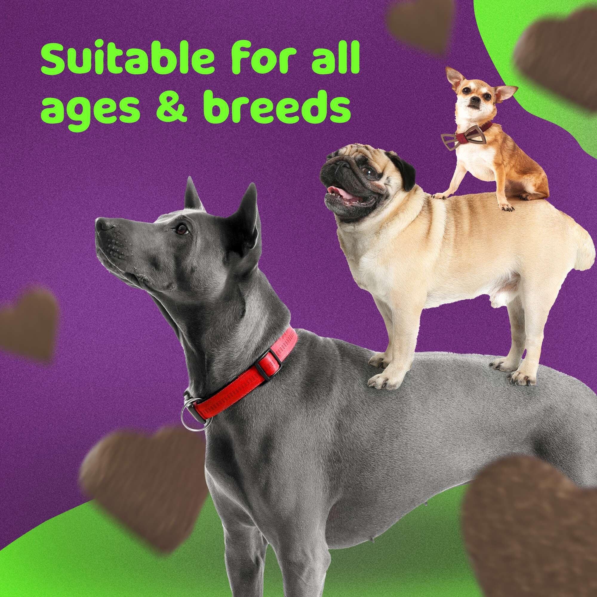 Petlii Probiotic Chews