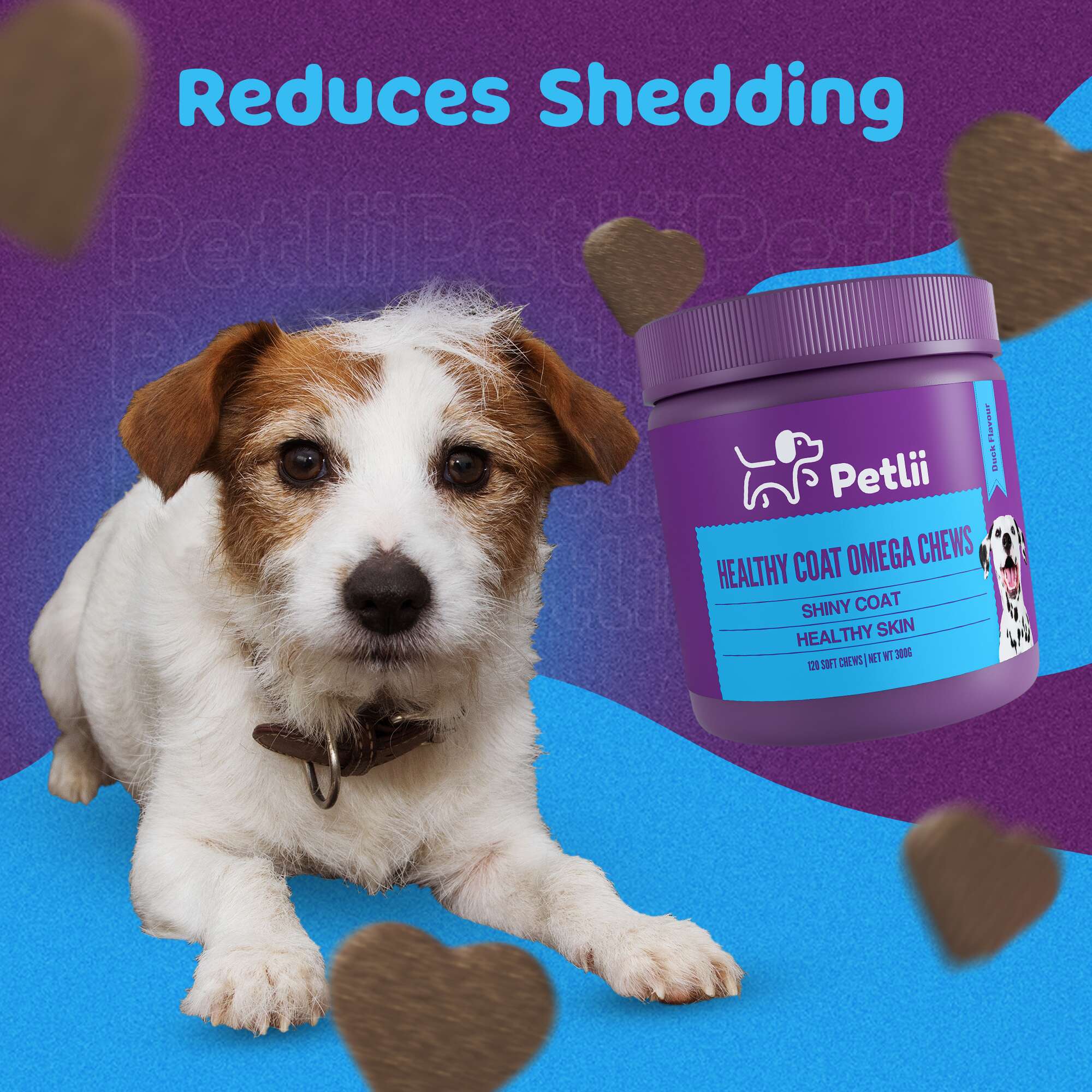 Petlii Healthy Coat Omega Chews