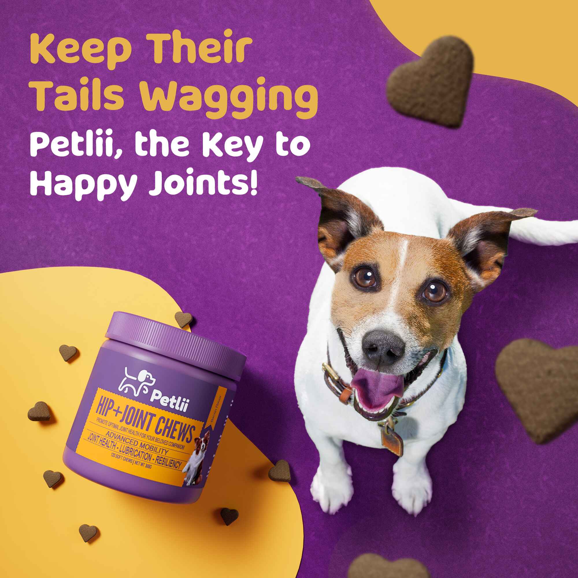 Petlii Hip and Joint Chews