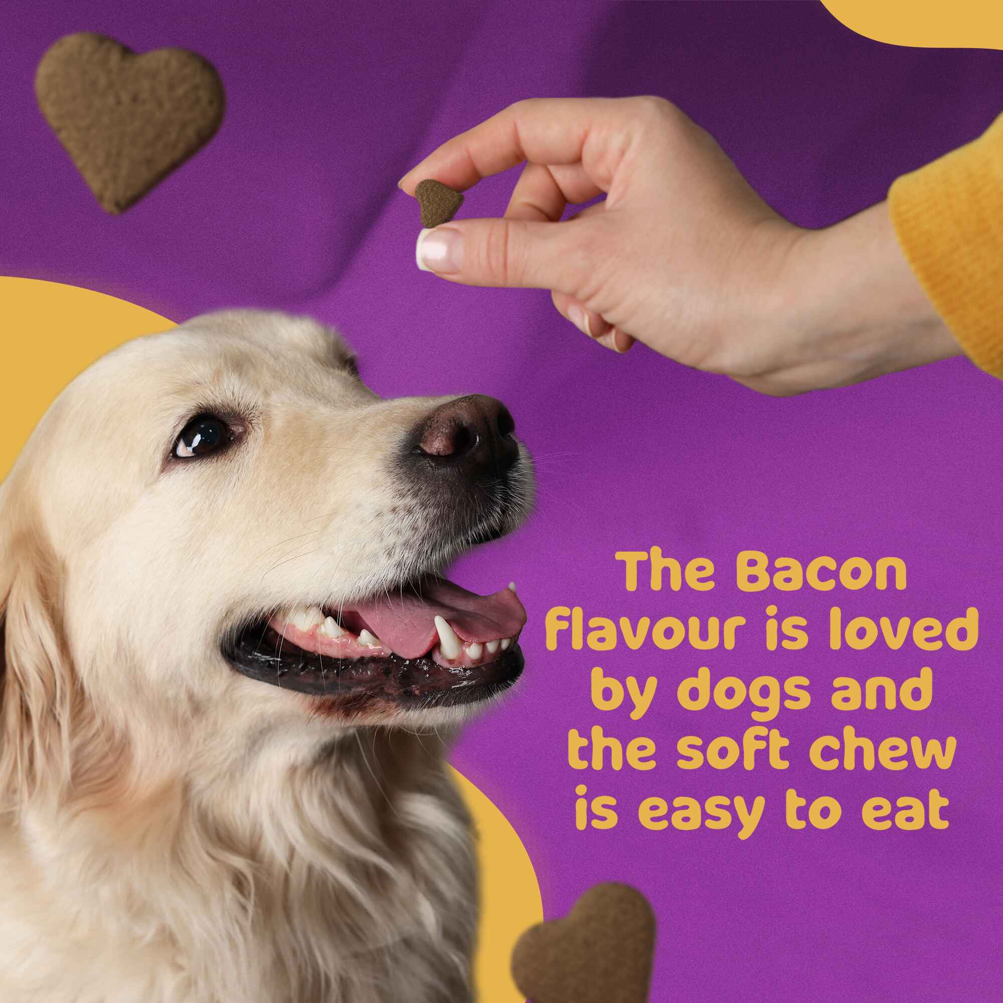 Petlii Hip and Joint Chews