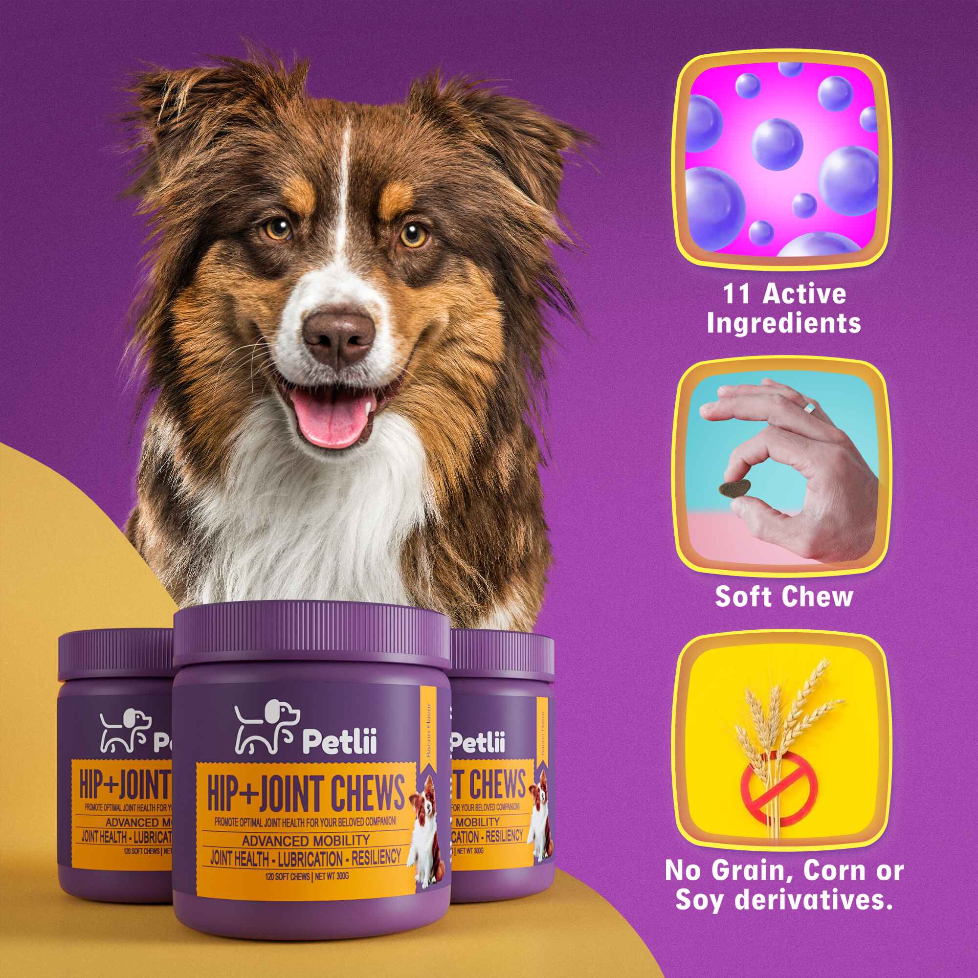 Petlii Hip and Joint Chews