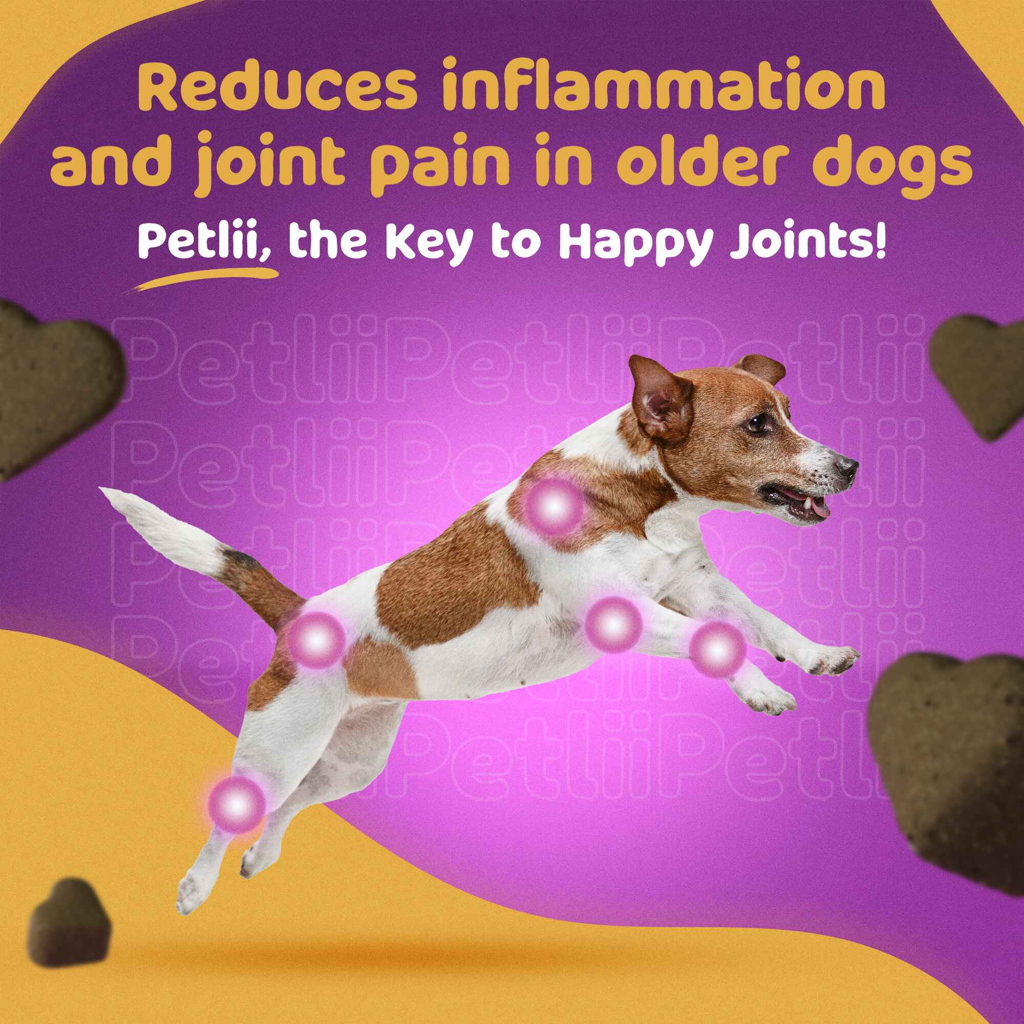 Petlii Hip and Joint Chews