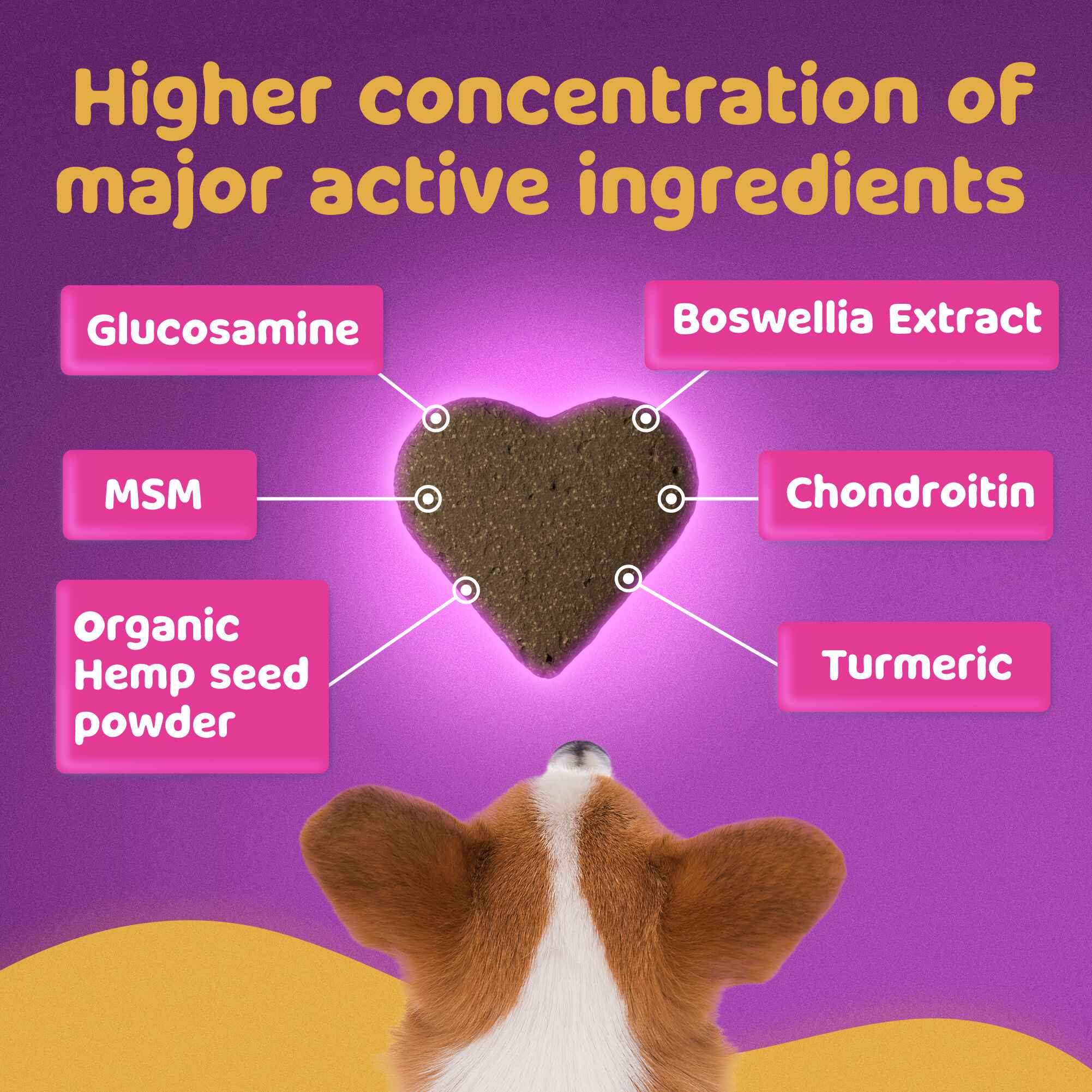 Petlii Hip and Joint Chews
